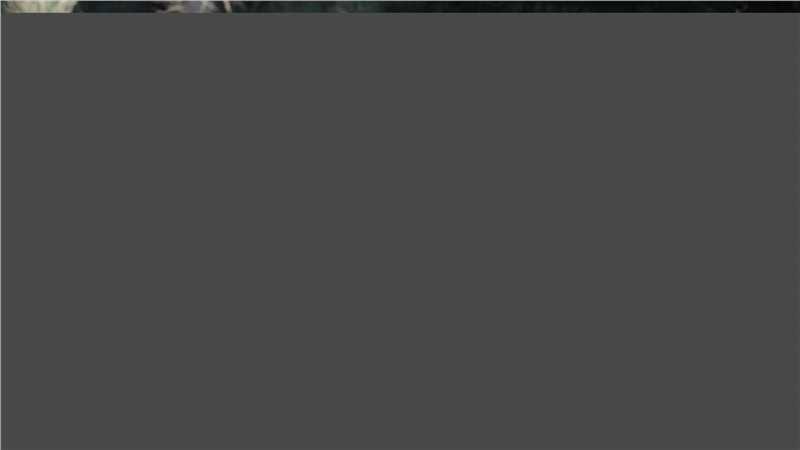 最新毛孩在《小宝和老财》诸葛旦/郭小宝中的壁纸