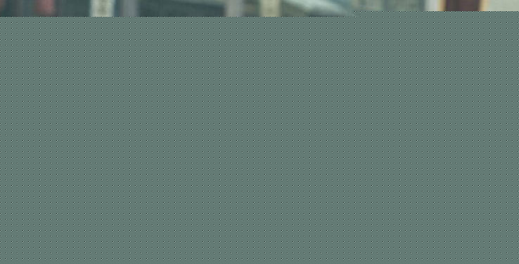 最新毛孩在《小宝和老财》诸葛旦/郭小宝中的壁纸