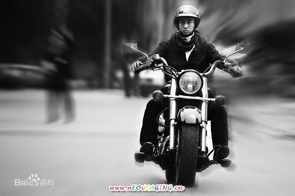 最全毛孩精彩图册