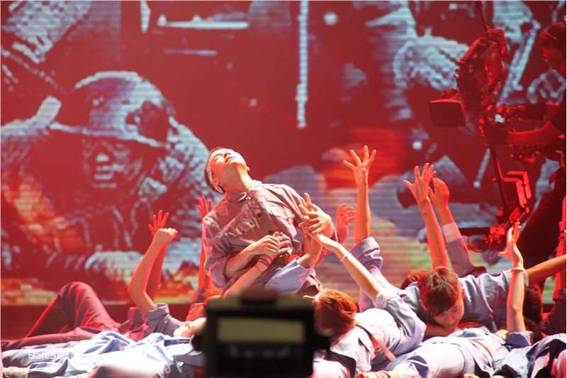 最全毛孩精彩图册