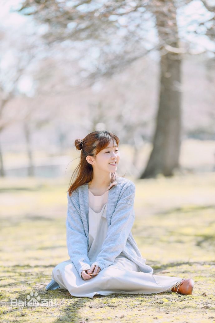 宋伊人(S.Ireine)日本游壁纸壁纸