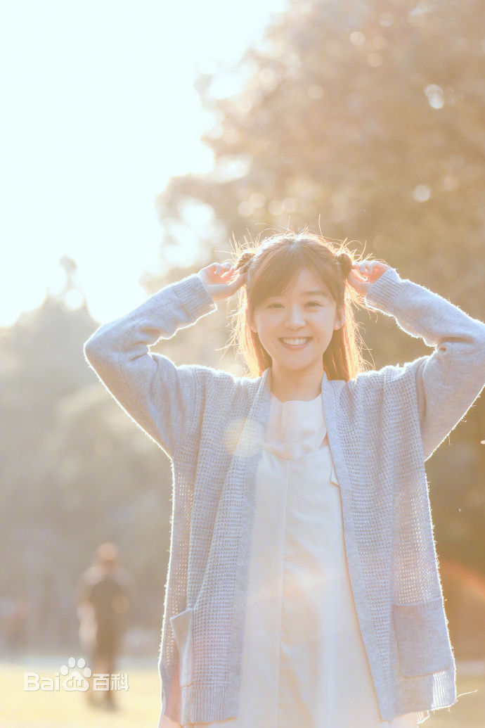 宋伊人(S.Ireine)日本游壁纸壁纸