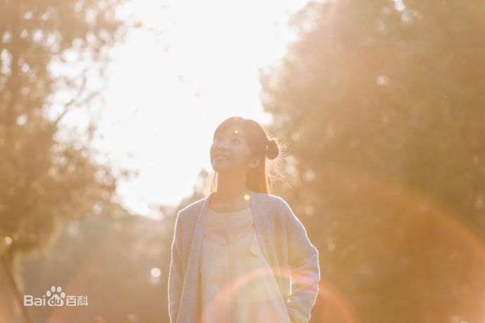 宋伊人(S.Ireine)日本游壁纸壁纸