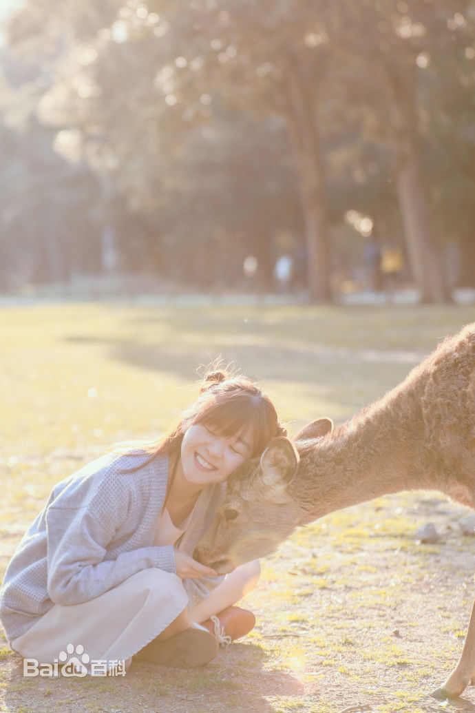 宋伊人(S.Ireine)日本游壁纸壁纸