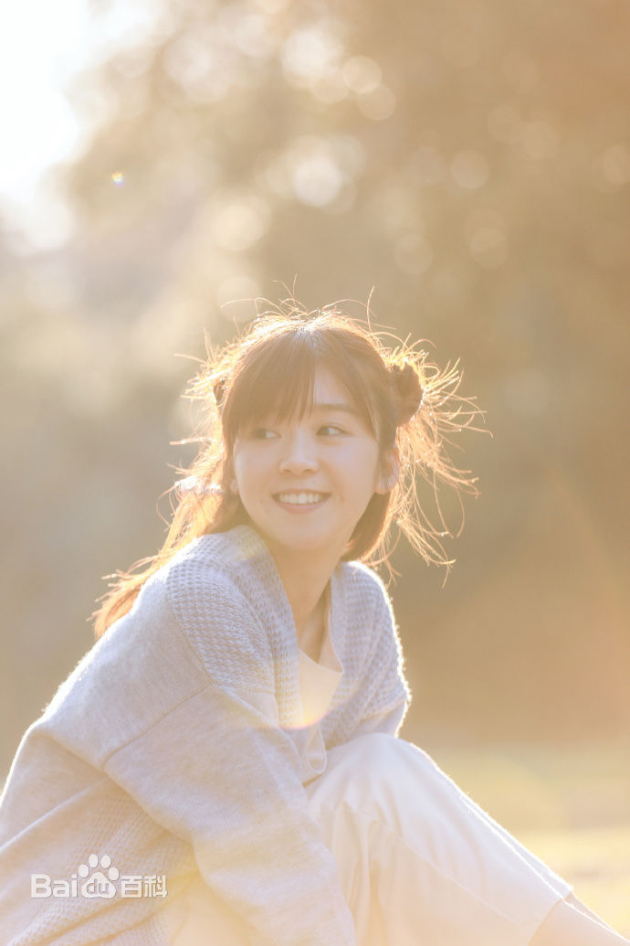 宋伊人(S.Ireine)日本游壁纸壁纸