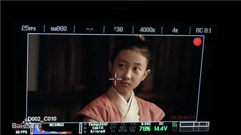 谢雨辰(Shirley)艺术照壁纸壁纸