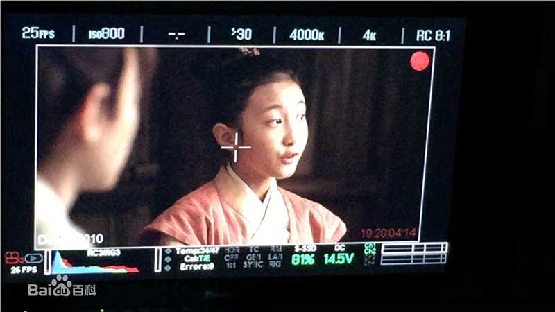 谢雨辰(Shirley)艺术照壁纸壁纸