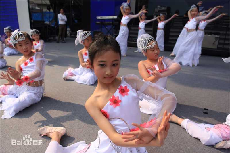 谢雨辰(Shirley)艺术照壁纸壁纸