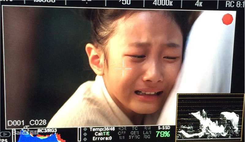 谢雨辰(Shirley)艺术照壁纸壁纸