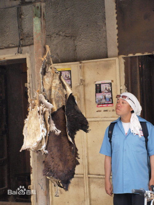 高清蔡康永(Kevin Tsai)图片