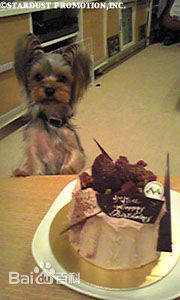 本乡奏多(本郷奏多（平假名：ほんごう かなた/罗马音：Hongo Kanata）)个人生活性感图片图集