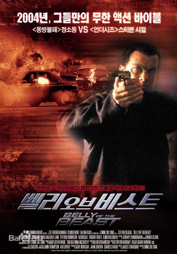 史蒂文·西格尔(Steven Seagal)电影海报