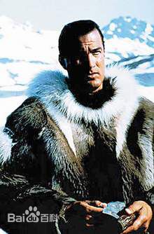 史蒂文·西格尔(Steven Seagal)最全硬汉壁纸