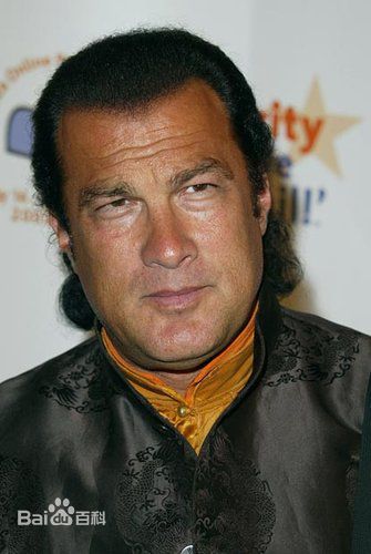 史蒂文·西格尔(Steven Seagal)最全硬汉壁纸