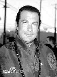 史蒂文·西格尔(Steven Seagal)最全硬汉壁纸