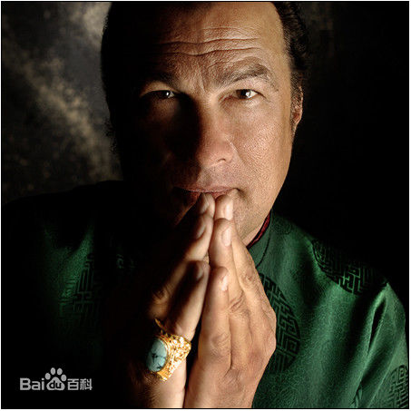 史蒂文·西格尔(Steven Seagal)最全硬汉壁纸