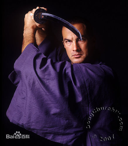 史蒂文·西格尔(Steven Seagal)最全硬汉壁纸