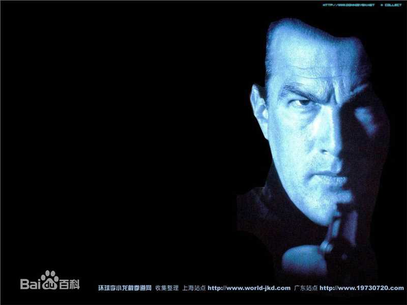 史蒂文·西格尔(Steven Seagal)最全硬汉壁纸