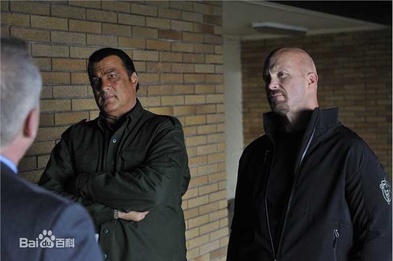 精选史蒂文·西格尔(Steven Seagal)