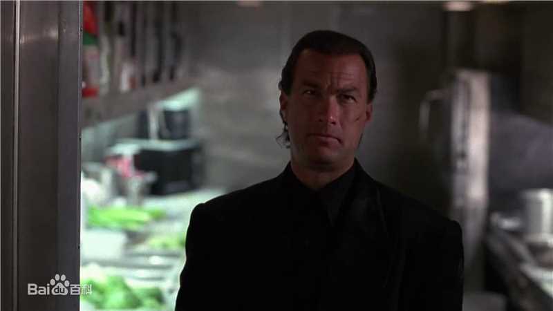 精选史蒂文·西格尔(Steven Seagal)
