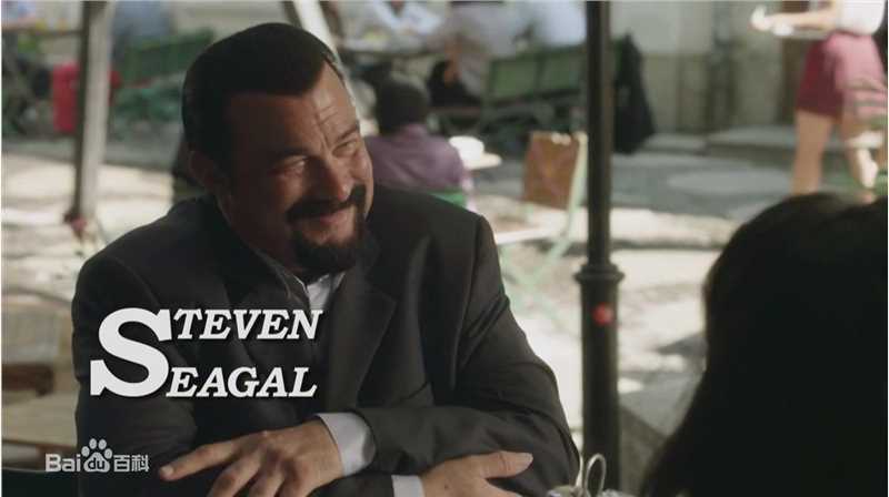 精选史蒂文·西格尔(Steven Seagal)