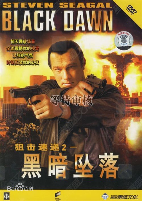 最全史蒂文·西格尔(Steven Seagal)壁纸