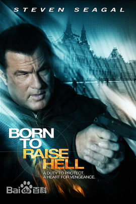 最全史蒂文·西格尔(Steven Seagal)壁纸