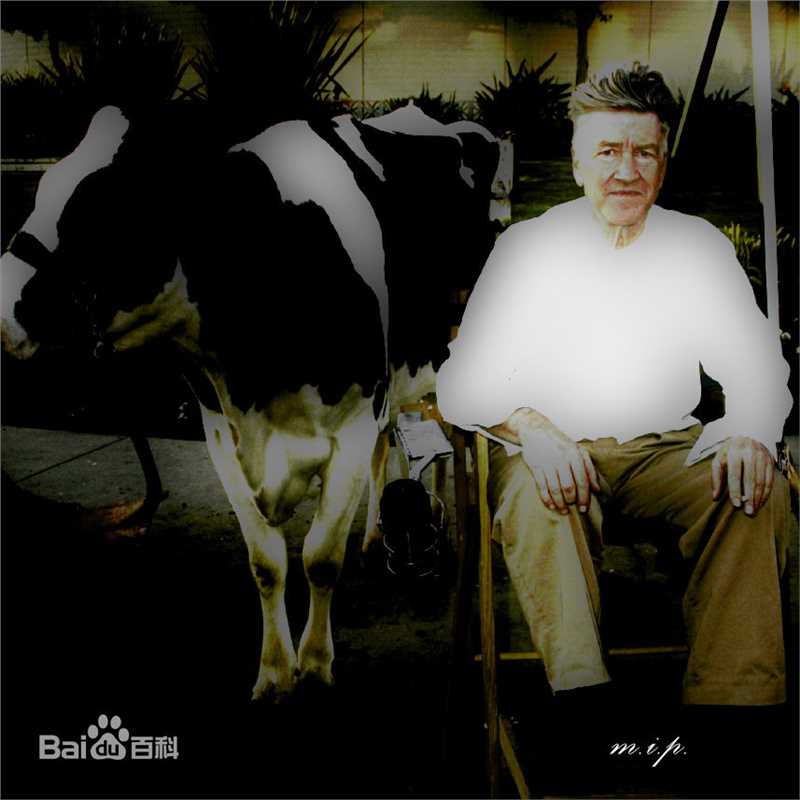 最全大卫·林奇(David Lynch)精彩图册