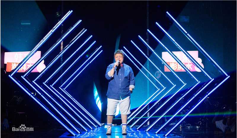 韩红(Han Hong)最新演出图素颜照相册