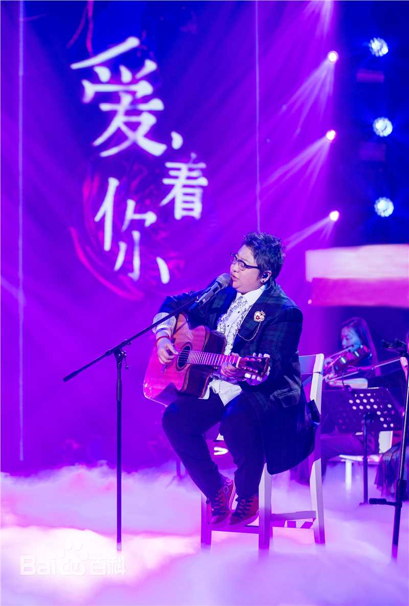 韩红(Han Hong)最新演出图素颜照相册