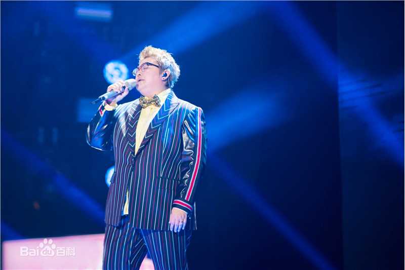 韩红(Han Hong)最新演出图素颜照相册