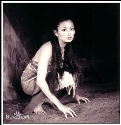 最全杨雅慧(Michelle Krusiec)壁纸