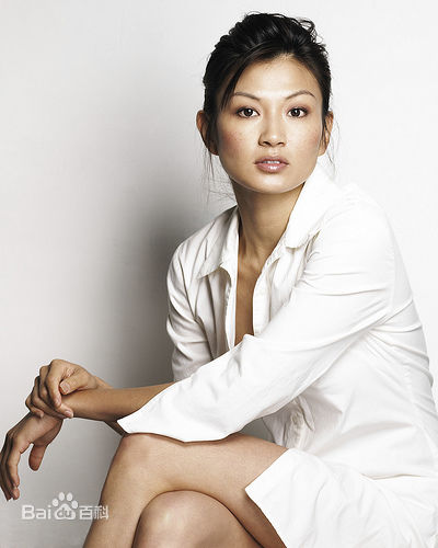 最全杨雅慧(Michelle Krusiec)壁纸