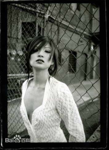 最全杨雅慧(Michelle Krusiec)壁纸