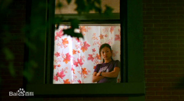 杨雅慧(Michelle Krusiec)《面子》最优质剧照