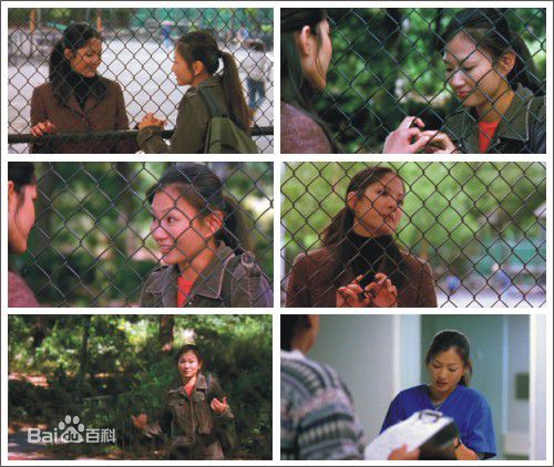 杨雅慧(Michelle Krusiec)《面子》最优质剧照