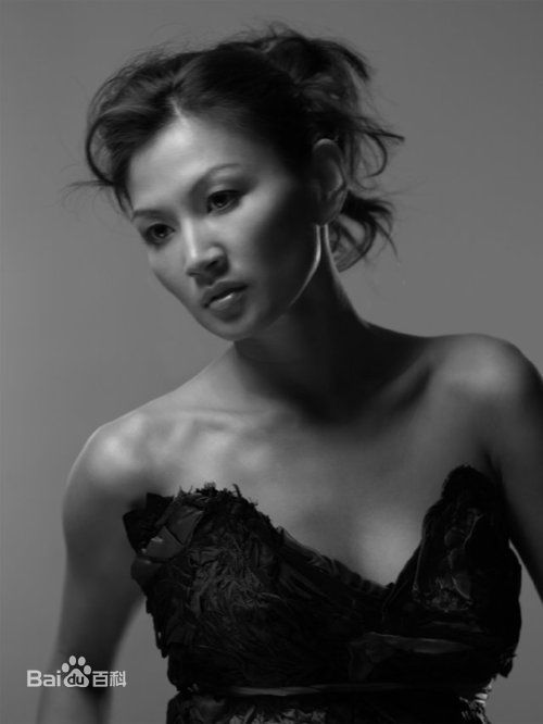 最优质杨雅慧(Michelle Krusiec)精彩图册