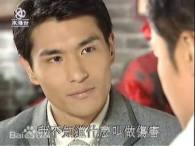 陈展鹏(Ruco Chan)参演影视最全剧照