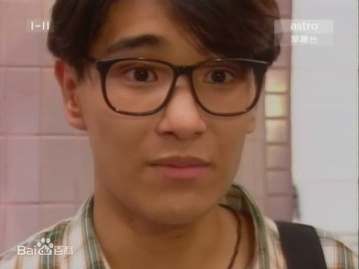 陈展鹏(Ruco Chan)参演影视最全剧照