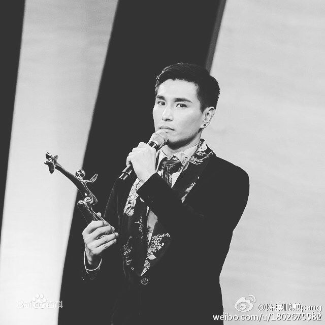 陈展鹏(Ruco Chan)获奖照图册