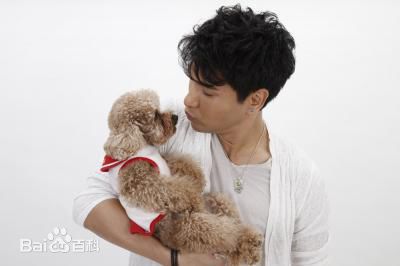 陈展鹏(Ruco Chan)日常照图册