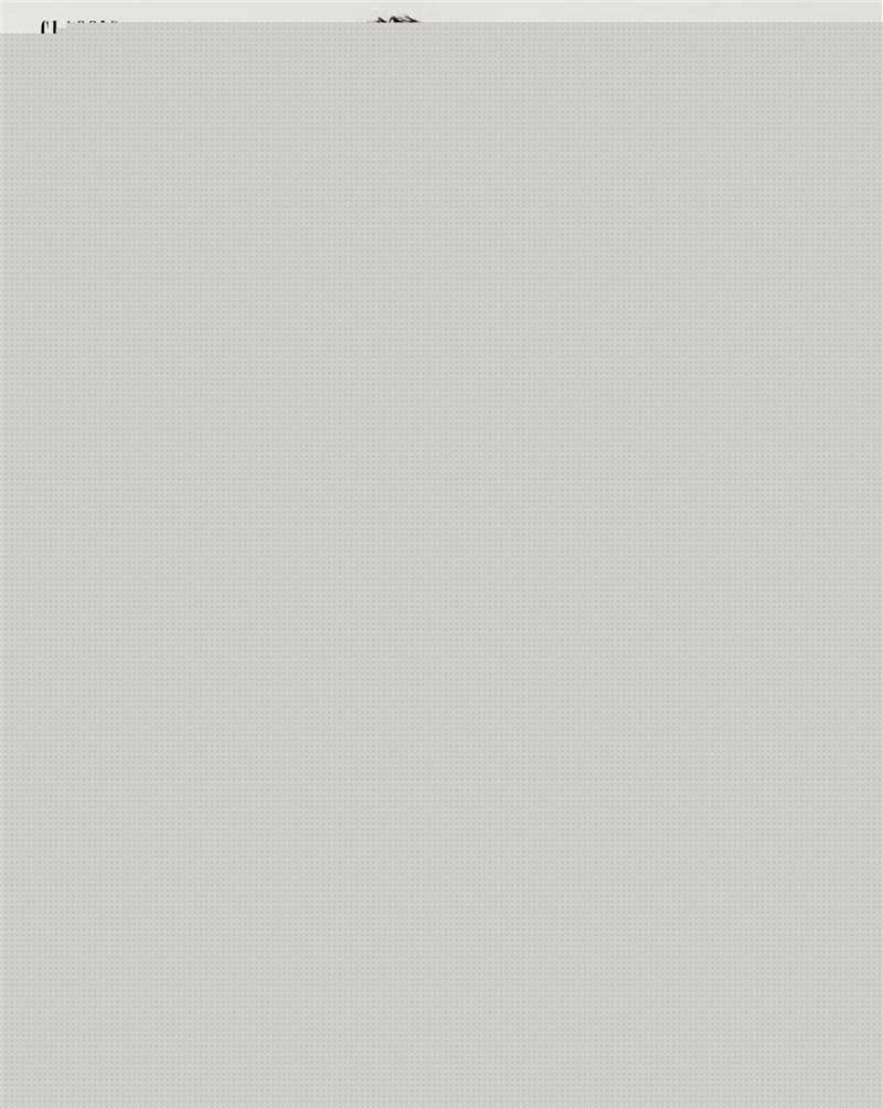 陈展鹏(Ruco Chan)最优质杂志照相册