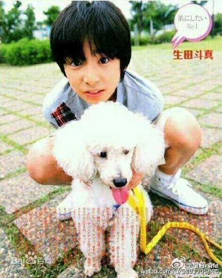 生田斗真(イクタトウマ、いくた とうま、Ikuta Touma)最全壁纸