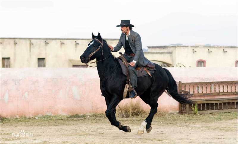 杰瑞米·艾恩斯(Jeremy Irons)精彩图册