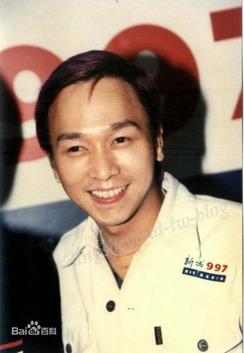 精选黄家强(Steve Wong)