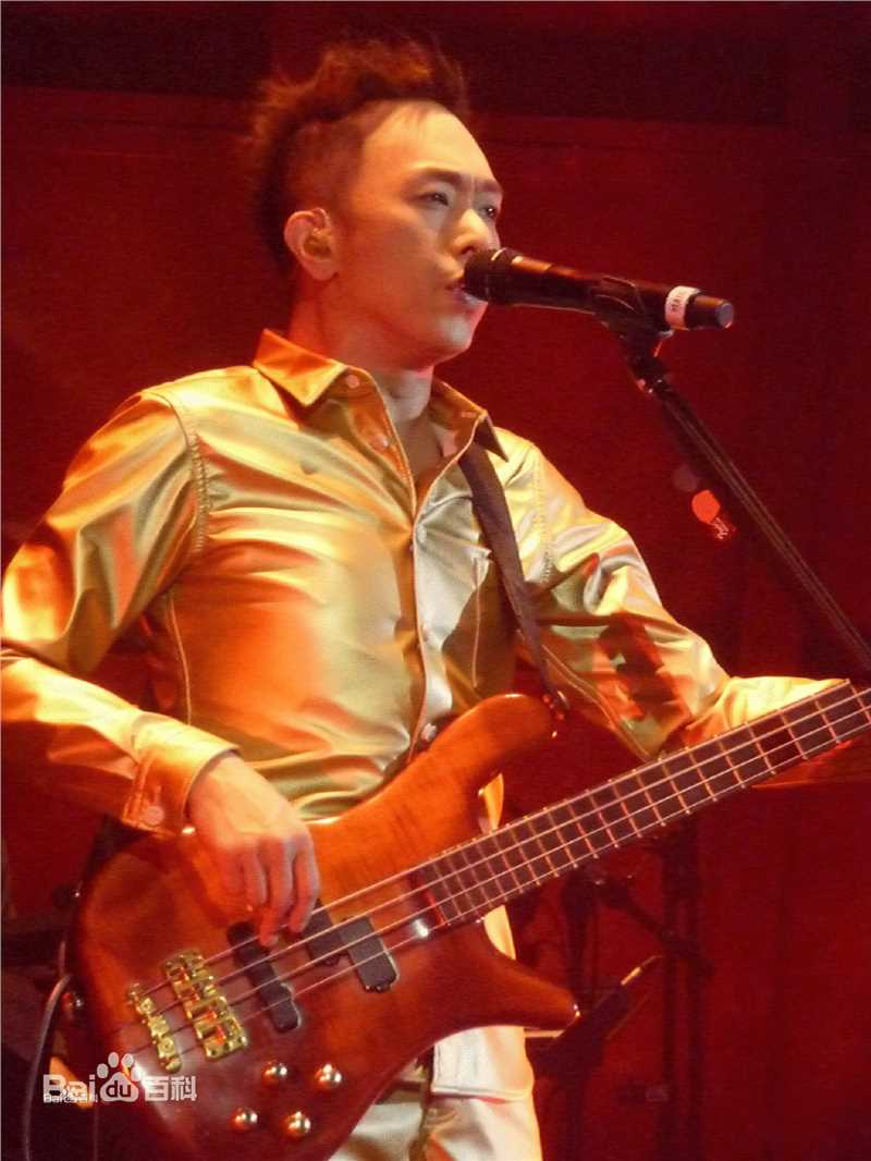 精选黄家强(Steve Wong)