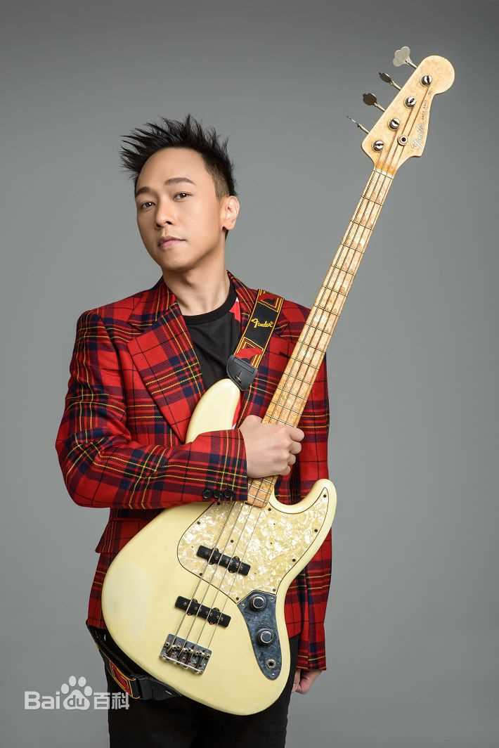 精选黄家强(Steve Wong)