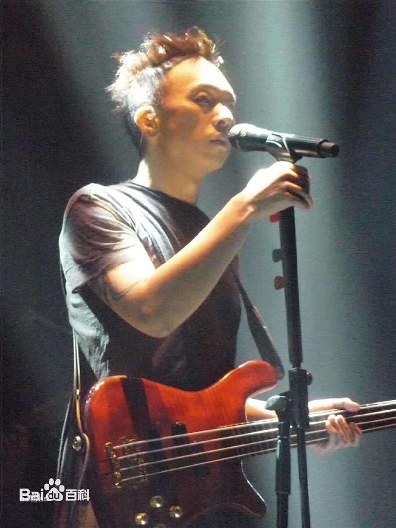 精选黄家强(Steve Wong)