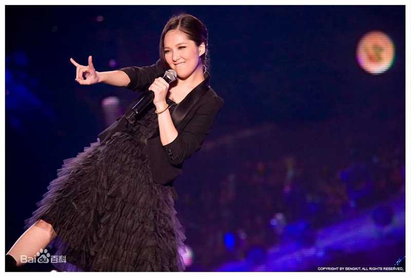 卫兰(Janice M. Vidal)2008活动图壁纸壁纸