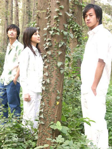 房思瑜(Serena Fang)广告代言壁纸壁纸